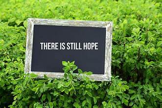 There is Life in Hayti!